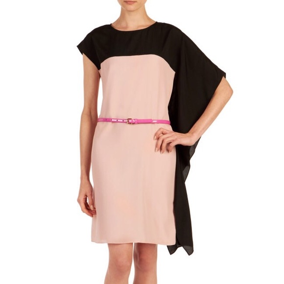 Ted Baker Dresses & Skirts - Ted Baker Ziviaa Color Block Draped Dress